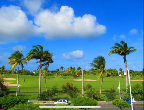 a view of a golf course with palm trees at Lauris - Résidence Savannah, 1 ou 2 Chambres avec cuve in Saint-François