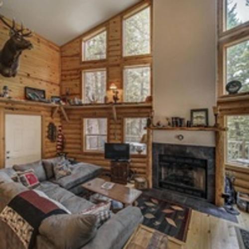 a living room with a couch and a fireplace at Cascade Log Cabin by Casago McCall - Donerightmanagement in Cascade