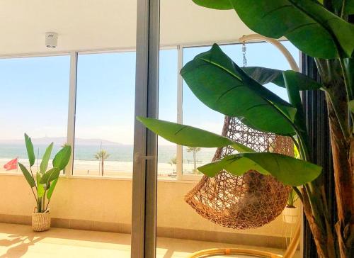 a plant with a hanging basket in front of a window at Aqua La Serena in La Serena