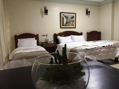 Foto dalla galleria di Innsbruck Valley a Nova Friburgo