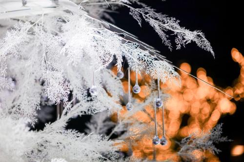 a frost covered tree with earrings hanging from it at Four Seasons Hotel Hangzhou at West Lake in Hangzhou