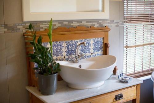 a bathroom with a sink and a potted plant at Leipzig Country House & Winery in Nuy