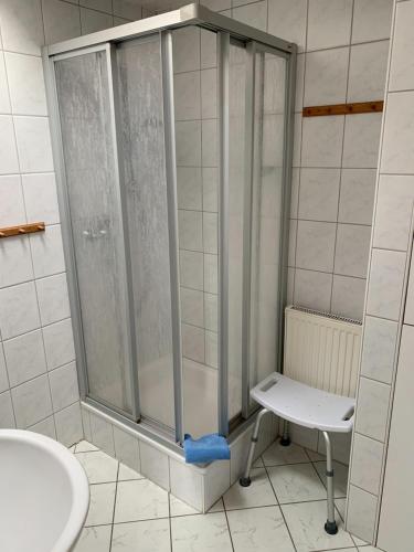 a shower in a bathroom with a toilet and a sink at Frisiastraße 21 in Norderney
