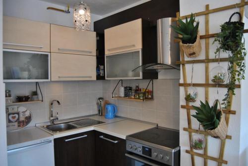 Dapur atau dapur kecil di Apartment Vucko