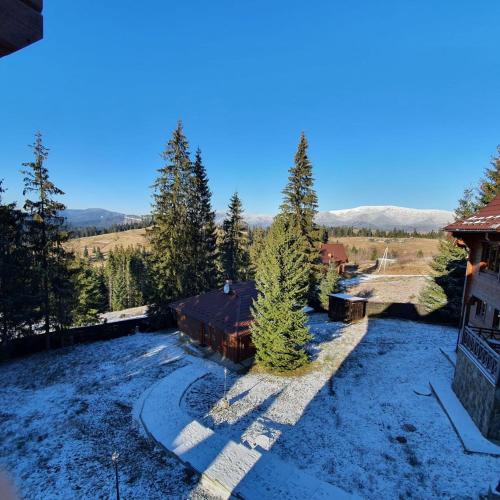 Gallery image of CHALETS GREY GOOSE in Yablunytsya