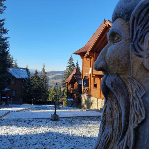 Gallery image of CHALETS GREY GOOSE in Yablunytsya