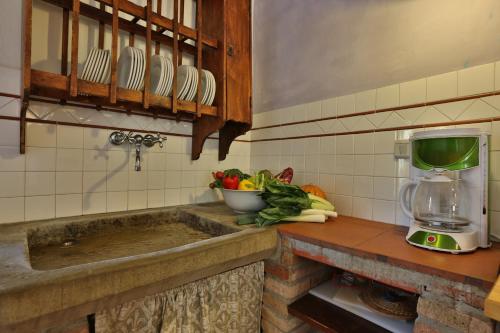 a kitchen counter with a mixer and a bowl of vegetables at Podere Il Doccio in Terranuova Bracciolini