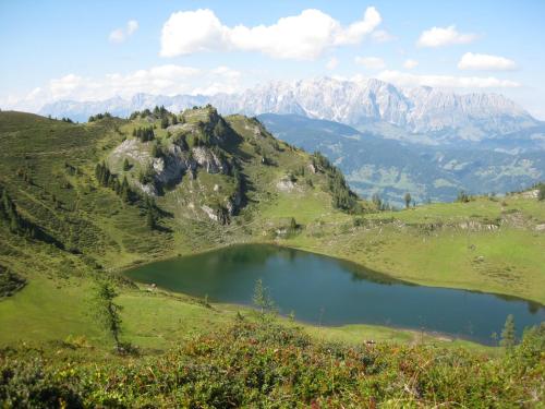 a mountain lake in the middle of a field at Bergparadies - inklusive Eintritt in die Alpentherme in Dorfgastein