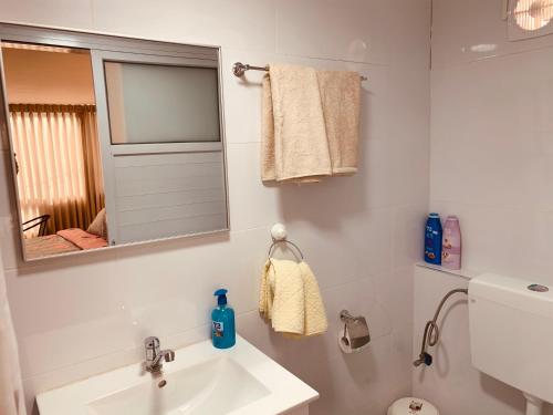 W łazience znajduje się umywalka i lustro. w obiekcie מיאר אירוח דרוזי w mieście Maghār