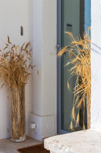 two potted plants sitting in front of a door at Masseria Limonaia & Spa in Fasano
