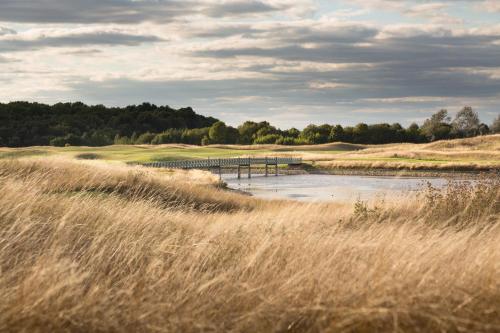 a field of tall grass with a pier in the distance at The Oxfordshire Golf & Spa Hotel in Thame