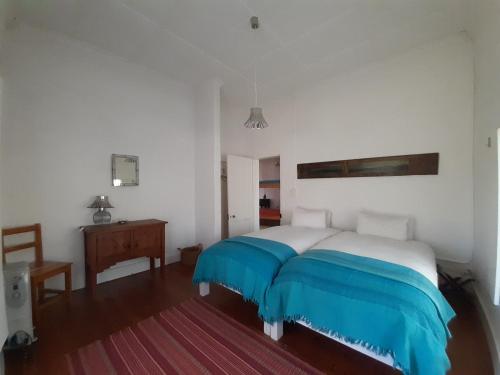 a bedroom with a large bed with blue sheets at Aandster in Nieu-Bethesda