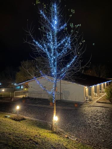 a christmas tree with blue lights on it at B&B Oasi Vetoio in LʼAquila