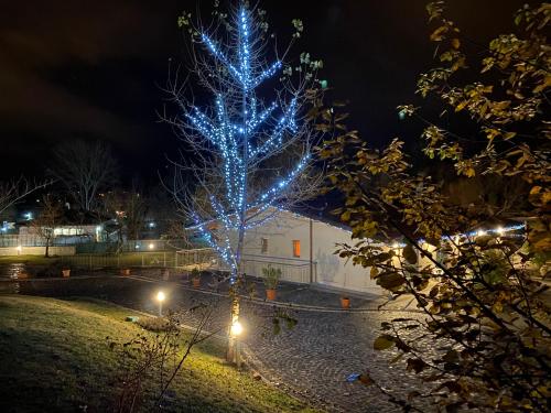 a blue christmas tree is lit up at night at B&B Oasi Vetoio in LʼAquila