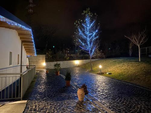 a blue christmas tree in a yard at night at B&B Oasi Vetoio in LʼAquila