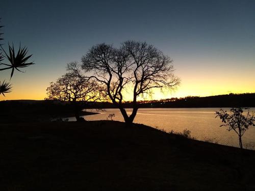 a tree sitting on the side of a body of water at Pousada Recanto do Turvo in Capitólio