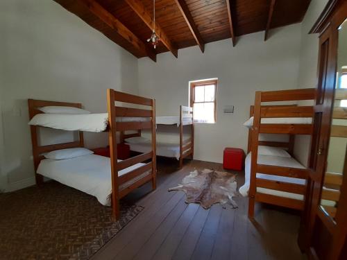 a room with three bunk beds and a window at The Owlhouse Backpackers in Nieu-Bethesda