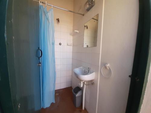 a bathroom with a toilet and a sink and a shower at The Owlhouse Backpackers in Nieu-Bethesda