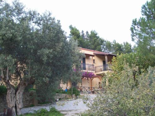 a large house with a tree in front of it at Azienda Agrituristica Biologica Il Querceto in Santa Severina