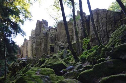 a rocky mountain with mossy rocks and trees at Ferienwohnung Omert in Ehrenberg