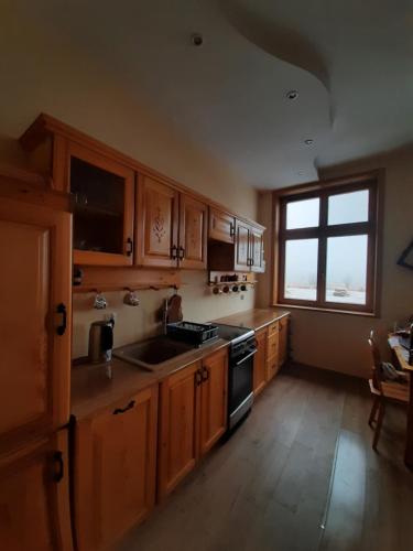 a kitchen with wooden cabinets and a sink and a window at Apartamenty na Szlaku in Czarny Dunajec