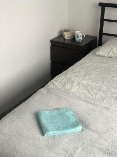 a green towel sitting on top of a bed at Noclegi Jachtklub Elbląg in Elblag