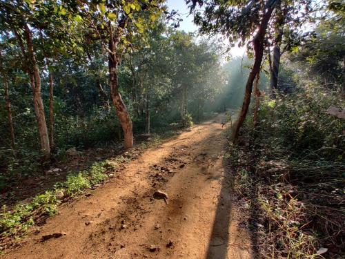 a dirt road in the middle of a forest at Surwahi Social Ecoestate Kanha in Kānha