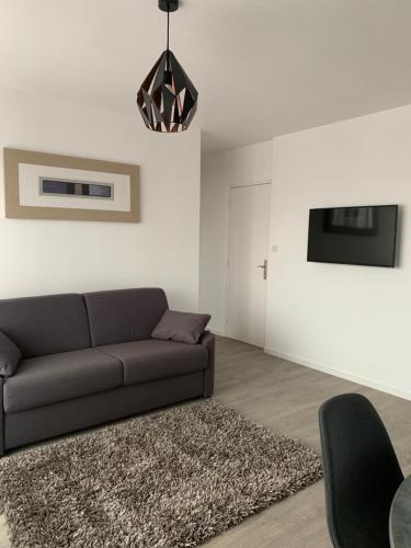 TV a/nebo společenská místnost v ubytování Appartement proche centre-ville