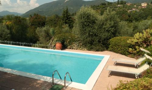 a swimming pool with a view of the mountains at Agriturismo Renzano garden apartments in Salò