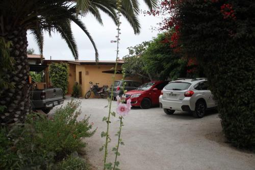 um grupo de carros estacionados num parque de estacionamento em Hostal El Punto em La Serena