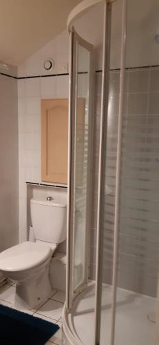 une salle de bain avec toilettes et douche en verre dans l'établissement La petite sirène, à Sahurs