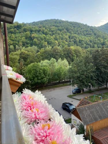 Gallery image of Sunny Apartment Dilijan in Dilijan