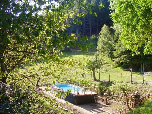 ogród z basenem na polu w obiekcie Comfortable House in Bibbiena + Pool w mieście Bibbiena