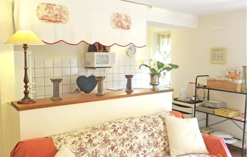 - un salon avec un canapé et un four micro-ondes dans l'établissement Maison de charme à Saint Branchs avec jardin d'1 hectare, à Saint-Branchs