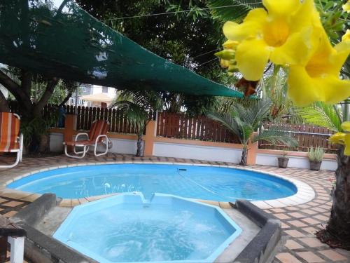 Kolam renang di atau di dekat One bedroom appartement with shared pool terrace and wifi at Flic en Flac