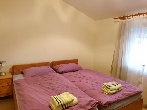 Foto da galeria de One bedroom appartement with furnished garden and wifi at Belisce em Belišće