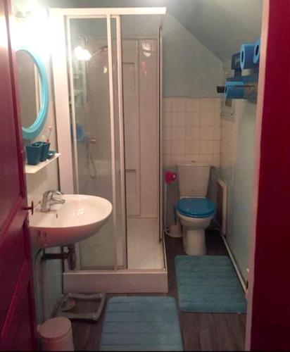 une salle de bain avec une douche, des toilettes et un lavabo dans l'établissement Maison charmante à La Croix-sur-Ourcq avec jardin clôturé, à La Croix-sur-Ourcq