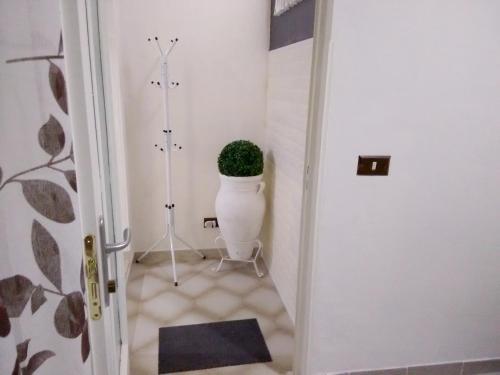 un corridoio con una pianta nell'angolo di una stanza di 2 bedrooms apartement at Mazara del Vallo 800 m away from the beach with city view and wifi a Mazara del Vallo