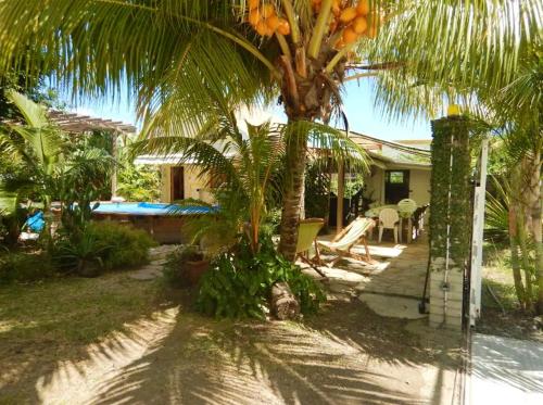 a palm tree in front of a house at Chalet confortable au Vauclin avec piscine privée in Le Vauclin
