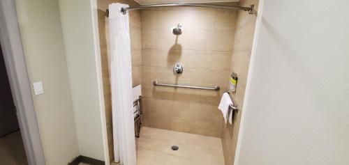 a bathroom with a shower with a towel at Holiday Inn Express Hotel & Suites Kinston by IHG in Kinston