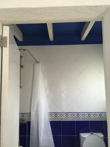 bagno con servizi igienici e parete blu e bianca. di Cala Serena Beach a Felanitx