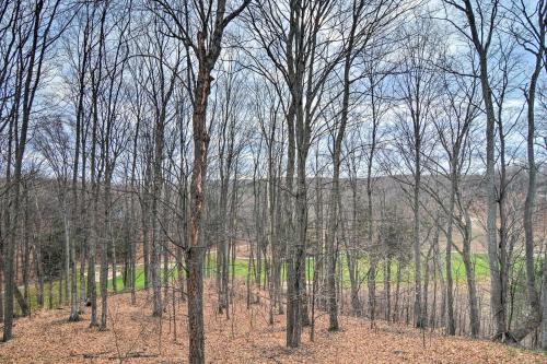 a forest of trees with no leaves on the ground at Cozy Bellaire Condo with Balcony - 3 Mi to Skiing! in Bellaire
