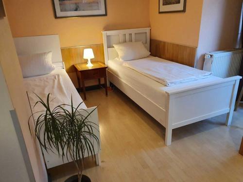 ケルンにあるCityPark Hotelのベッドルーム1室(ベッド2台、鉢植え付)