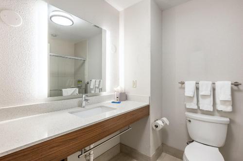 bagno con servizi igienici, lavandino e specchio di Holiday Inn Express McComb, an IHG Hotel a McComb