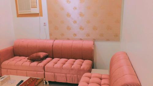 różowa kanapa w salonie z kotem śpiącym na niej w obiekcie Al Beagy Furnished Units w mieście Hafr al-Batin