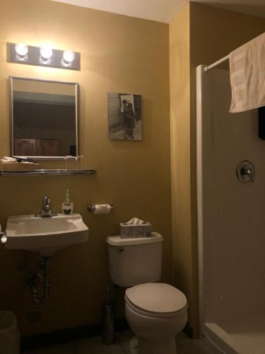 a bathroom with a toilet and a sink and a mirror at Crowsnest Vineyards Guesthouse in Keremeos