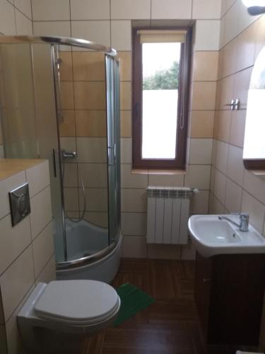 een badkamer met een douche, een toilet en een wastafel bij Apartamenty u Ani in Kudowa-Zdrój