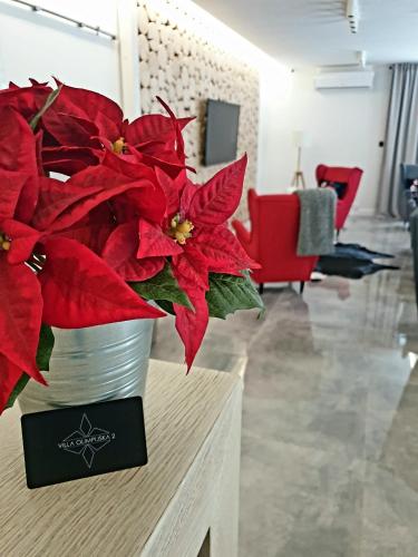 a vase with red poinsettias sitting on a table at Villa Olimpijska 2 - Centrum in Wisła