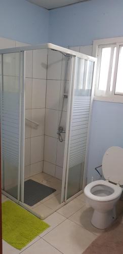 La salle de bains est pourvue d'une douche et de toilettes. dans l'établissement Joli F3 à une minute de la plage, à Bouéni