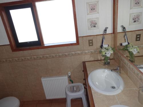 a bathroom with a sink and a toilet and a window at B&B HMüller in Pucón